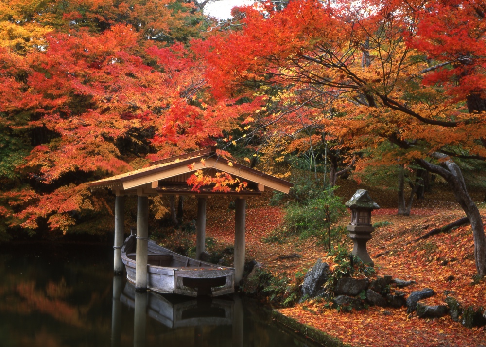 f:id:kyotoside_writer:20181014151100j:plain