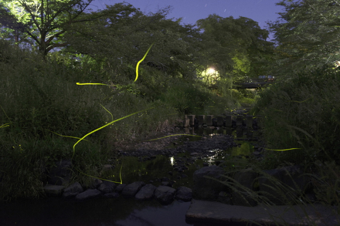 f:id:kyotoside_writer:20190524220704j:plain