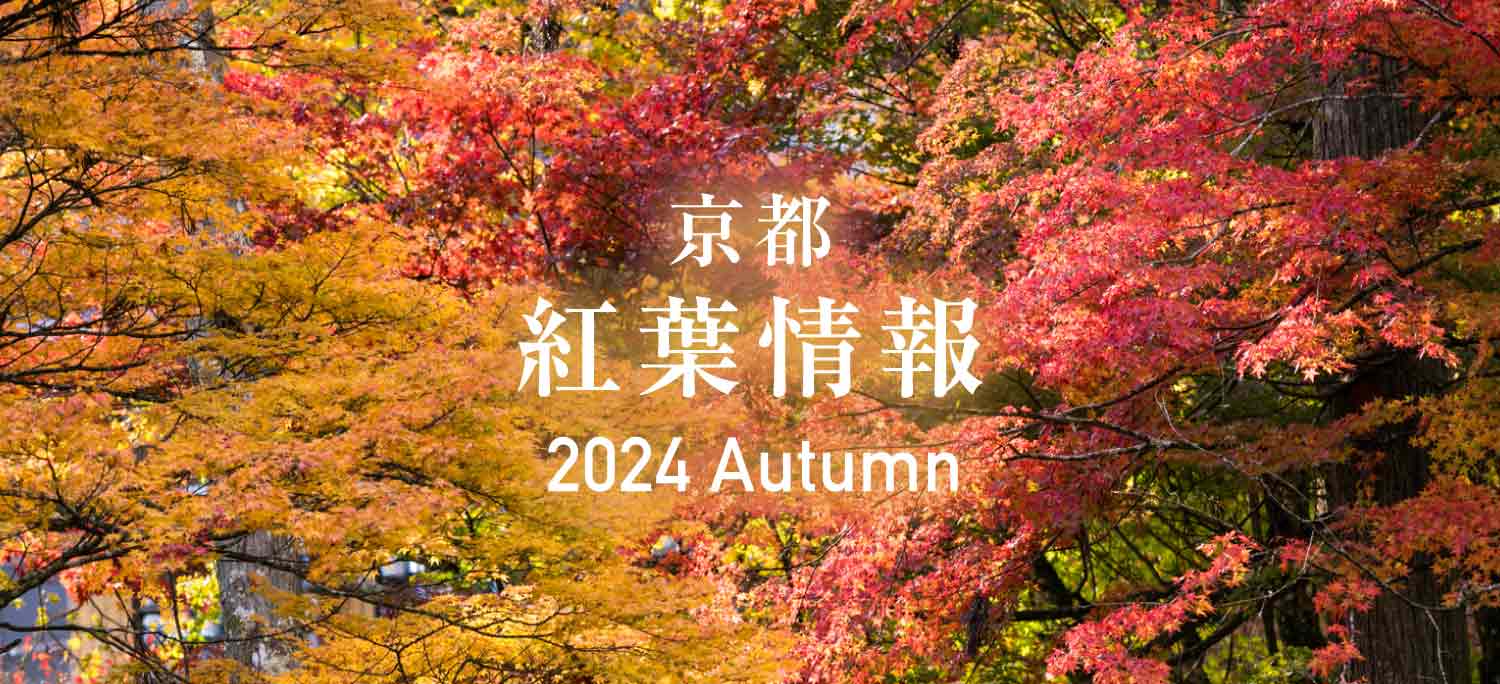 2024京都府内紅葉情報