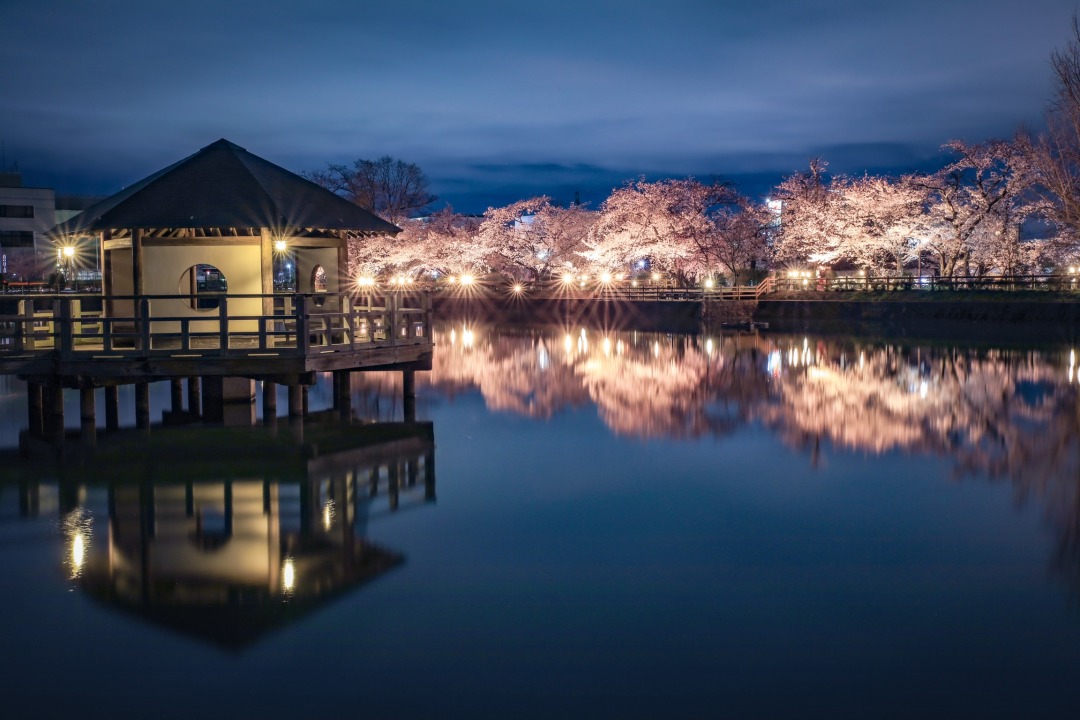 2023】京都府の夜桜ライトアップ〜幽玄な春の宴への誘い〜 - KYOTO