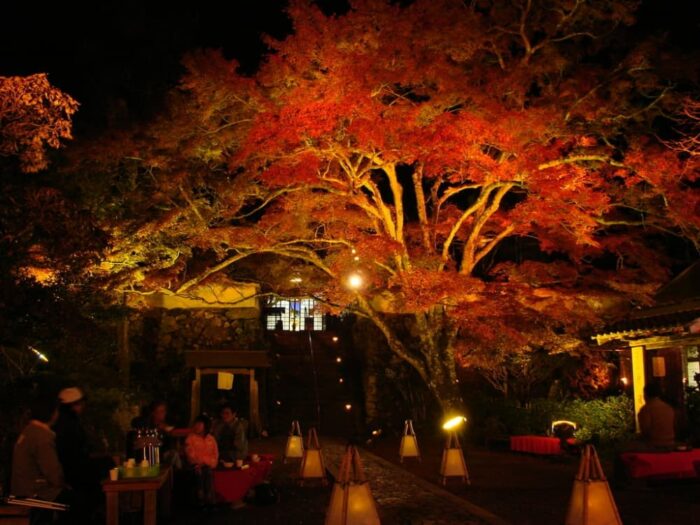 亀岡市・神蔵寺・紅葉ライトアップ