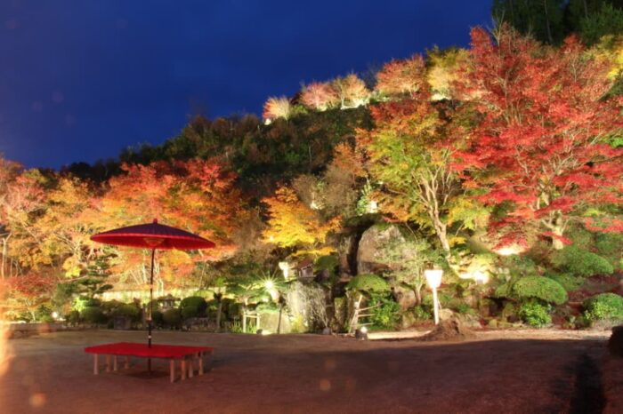 与謝野町・慈徳院・紅葉ライトアップ