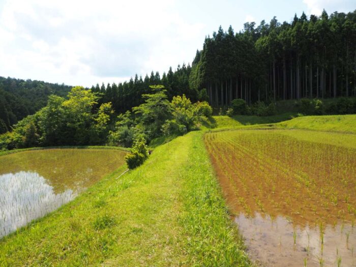 氷室跡