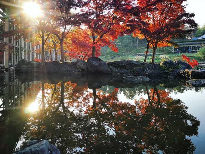 水景園の水面に映る紅葉