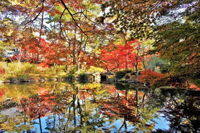 大本神苑の金竜海にリフレクションする紅葉