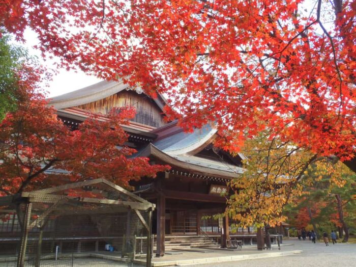 大本神苑みろく殿周辺の紅葉