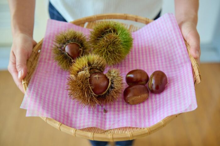 和知小学校　給食