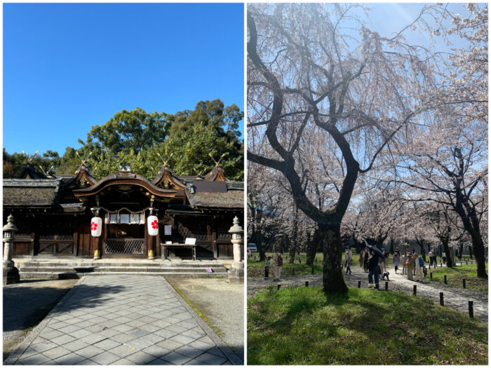 京都市・おみくじ